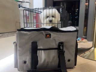（分類：）位於 。 由 notsobigridingnobike 提交（商品編號 1345488076，圖片 1）。簡介： 。