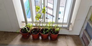 (Category: ) located in . Submitted by anandpalanidurai (Listing ID 1345306112, Image 1). Description: .