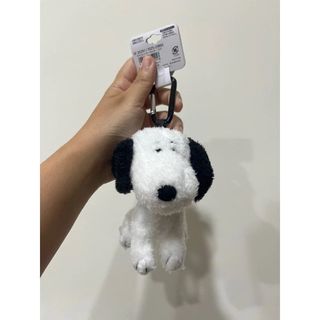 由 mouseshopping (刊登 ID 1345713473，圖片 1) 提交，位於 的 (類別：)，說明：。