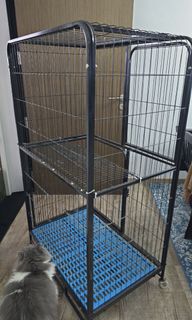 (Category: ) located in . Submitted by bakawaly (Listing ID 1345605125, Image 1). Description: .