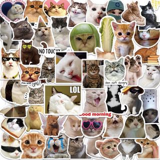 (Category: ) located in . Submitted by sjrin38jek (Listing ID 1345651605, Image 1). Description: .
