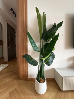 (Category: ) located in . Submitted by dyangjm (Listing ID 1345821772, Image 1). Description: .