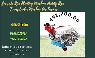 or sale Rice Planting Machine Paddy Rice  Transplanter Machine for Farmer