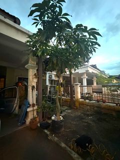 (Category: ) located in . Submitted by sitdownguai (Listing ID 1345845386, Image 1). Description: .