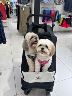 Pet Stroller