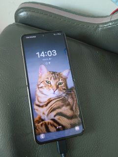 （分類：）位於 。 由 hkhklam 提交（商品編號 1344126504，圖片 1）。簡介： 。