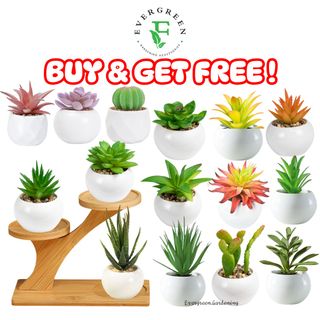 (Category: ) located in . Submitted by evergreen_gardening (Listing ID 1343252126, Image 1). Description: .