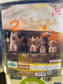 （分類：）位於 。 由 tracychungg 提交（商品編號 1345983864，圖片 1）。簡介： 。