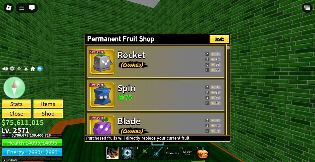 BLOX FRUITS | LEVEL 2562 | HAVE PERMS | HAVE GAME PASS | HAVE ALL ...