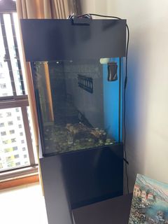 (Category: ) located in . Submitted by lawrence.liow (Listing ID 1345966418, Image 1). Description: .