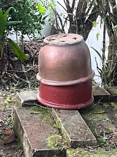 (Category: ) located in . Submitted by wulfywell (Listing ID 1346038076, Image 1). Description: .