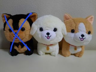 (Category: ) located in . Submitted by Aconite (Listing ID 1338445128, Image 1). Description: .