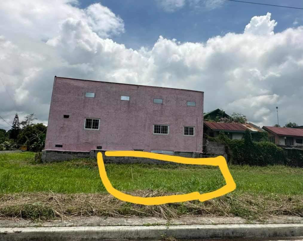 Lot for sale in Town and Country Dasmarinas Cavite Phase 1 and SouthPlains Exec Village ...