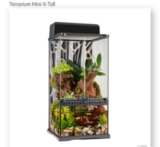 (Category: ) located in . Submitted by happyaquarium (Listing ID 1346185741, Image 1). Description: .