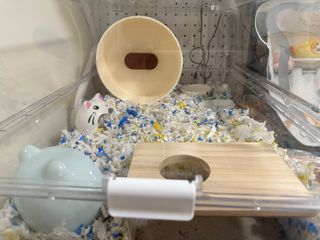 （分類：）位於 。 由 kaman_10 提交（商品編號 1346182807，圖片 1）。簡介： 。