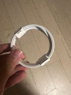 原廠 Apple 充電線