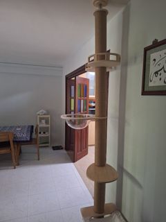 (Category: ) located in . Submitted by umar.adil.311 (Listing ID 1346157172, Image 1). Description: .