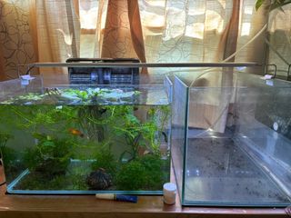 (Category: ) located in . Submitted by cory82 (Listing ID 1346153127, Image 1). Description: .