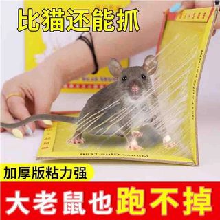 (Category: ) located in . Submitted by bioball (Listing ID 1020680460, Image 1). Description: .