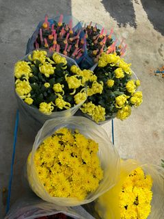 (Category: ) located in . Submitted by gardenfunfarm (Listing ID 1346418324, Image 1). Description: .