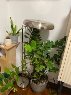 （分類：）位於 。 由 ryki404 提交（商品編號 1346403257，圖片 1）。簡介： 。