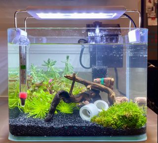 (Category: ) located in . Submitted by theotjw (Listing ID 1346426349, Image 1). Description: .