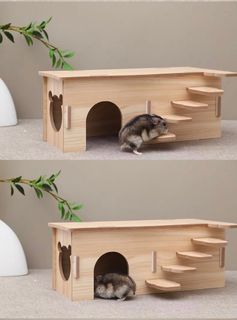 (Category: ) located in . Submitted by fluffy_n_wings (Listing ID 1346354037, Image 1). Description: .