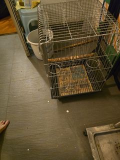 (Category: ) located in . Submitted by tkhg. (Listing ID 1346440071, Image 1). Description: .