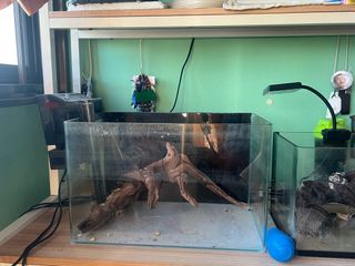 (Category: ) located in . Submitted by scooterlife123 (Listing ID 1395826556, Image 1). Description: .