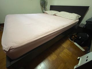 (Category: ) located in . Submitted by coony4 (Listing ID 1395823653, Image 1). Description: .