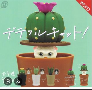 （分類：）位於 。 由 c_for_pig 提交（商品編號 1395761992，圖片 1）。簡介： 。