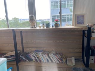 (Category: ) located in . Submitted by saferiver.91adee (Listing ID 1395759000, Image 1). Description: .