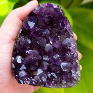 (Category: ) located in . Submitted by serenity_vibrations (Listing ID 1397537014, Image 1). Description: .