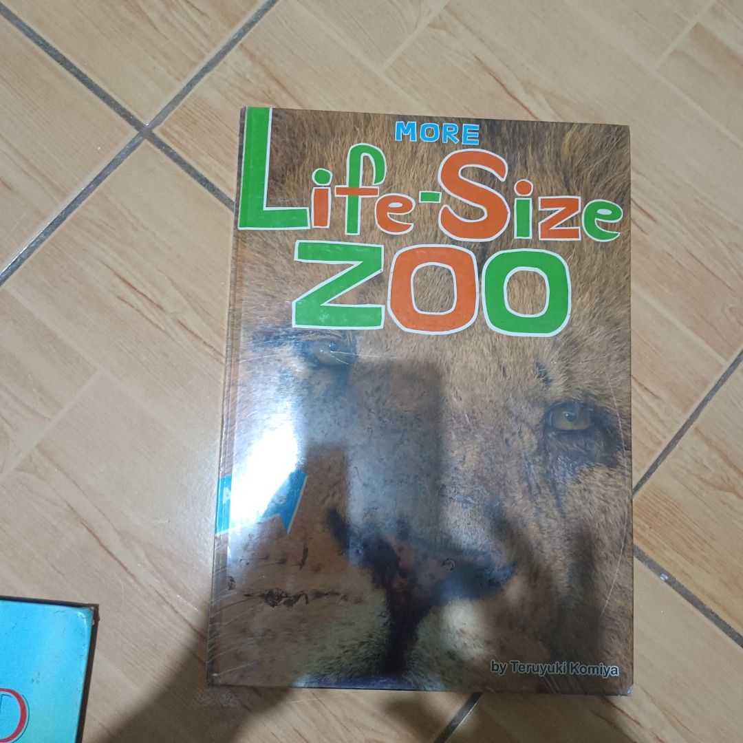Children's Books Bundle (Category: Children's Books) located in Makati City. Submitted by breispreloved (Listing ID 1397511389, Image 2). Description: random books. euc to guc (stencils) with signs of usage but still readable. P500.