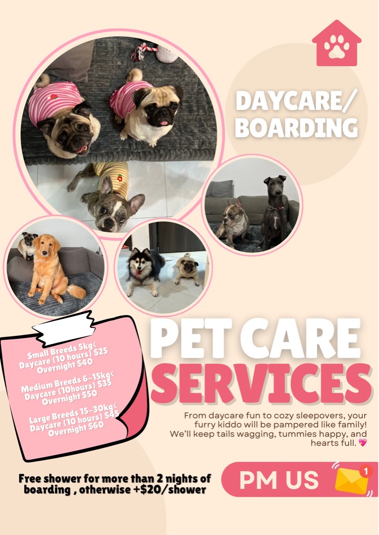 Dog boarding For Sale Buy 100+ Dog boarding online Carousell