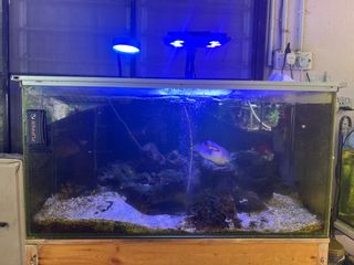 (Category: ) located in . Submitted by andy871600000 (Listing ID 1397447238, Image 1). Description: .
