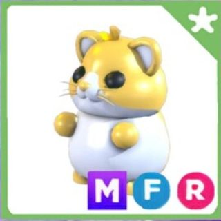 Hamster adoption For Sale Carousell Singapore - Main Image