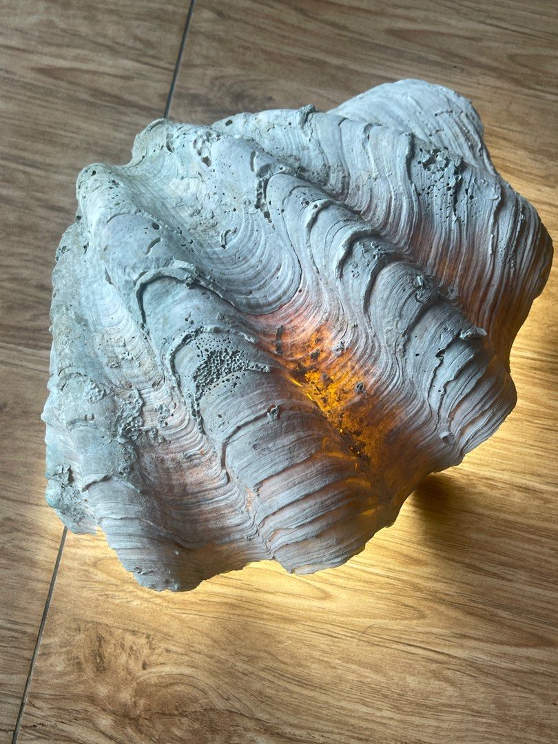 Taklobo (Large Clam Shell) (Category: Wall Decor) located in Manila. Submitted by vince281973 (Listing ID 1397490503, Image 3). Description: - Large clam shell - Unique textured surface - Natural patterns - Light beige color with green accents - Decorative piece - Weight: 4.3kg - Disclaimer: Found this in our property tenanted by shell handicraft business more 30 yrs ago. .