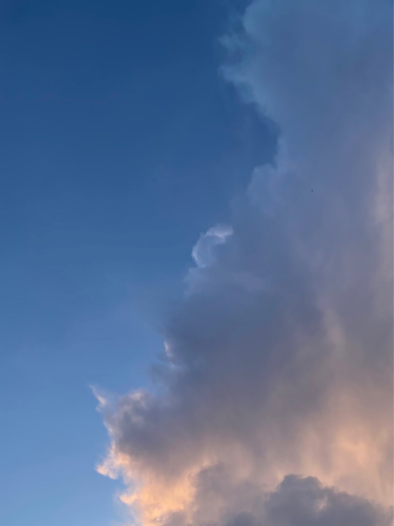 誠徵暗盤（東涌，青衣，荃灣，葵青，屯門）64101969987457110