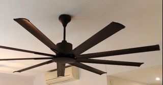 (Category: ) located in . Submitted by flaminghut (Listing ID 1397639368, Image 1). Description: .