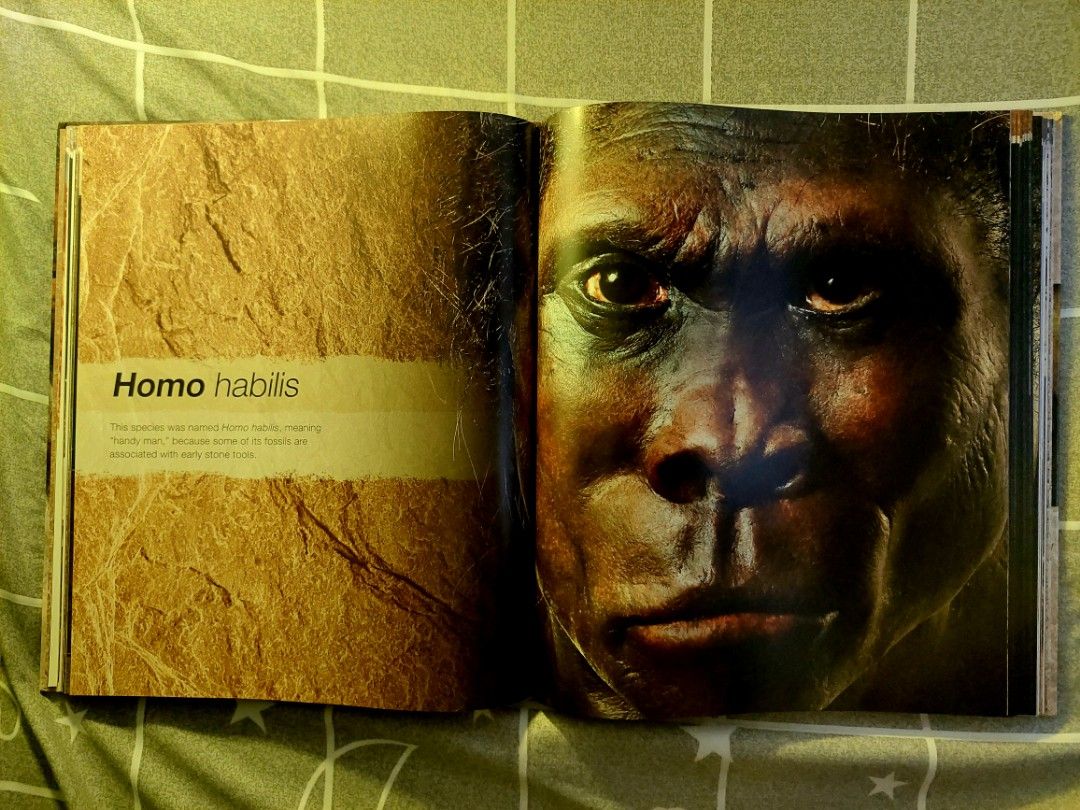 EVOLUTION The Human Story (Second Edition) Dr. ALICE ROBERTS (Category: Storybooks) located in Makati City. Submitted by a_pullman016 (Listing ID 1397738145, Image 3). Description: EVOLUTION THE HUMAN STORY (Second Edition) Dr. Alice Roberts Condition: Like New Authentic 💯 not fake nor reprint Price: P1,200 meet-up/pick-up: Makati or Taguig City if Metro Manila, if Laguna: Sta.Rosa Message for more questions & request for shipping. Thank you..