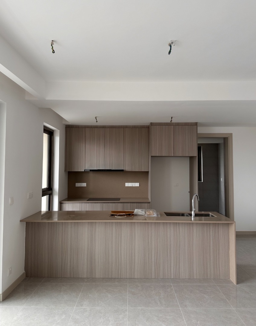 Full set Dry Kitchen with Hood and Induction Cooker, Furniture & Home ...
