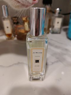 （分類：）位於 。 由 fathai 提交（商品編號 1397694844，圖片 1）。簡介： 。