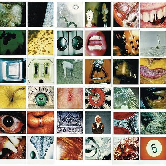 [LP, Sealed] Pearl Jam - No Code (Category: Vinyls) located in San Pablo. Submitted by siestaspins (Listing ID 1397714732, Image 1). Description: Tracklist Sometimes Hail, Hail Who You Are In My Tree Smile Off He Goes Habit Red Mosquito Lukin Present Tense Mankind I'm Open Around The Bend .