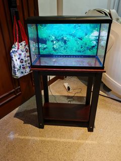 (Category: ) located in . Submitted by maxin40826084 (Listing ID 1397733383, Image 1). Description: .