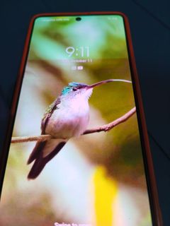 (Kategori: ) berada di . Dikirim oleh anton.2 (ID iklan 1397734203, Gambar 1). Deskripsi: .