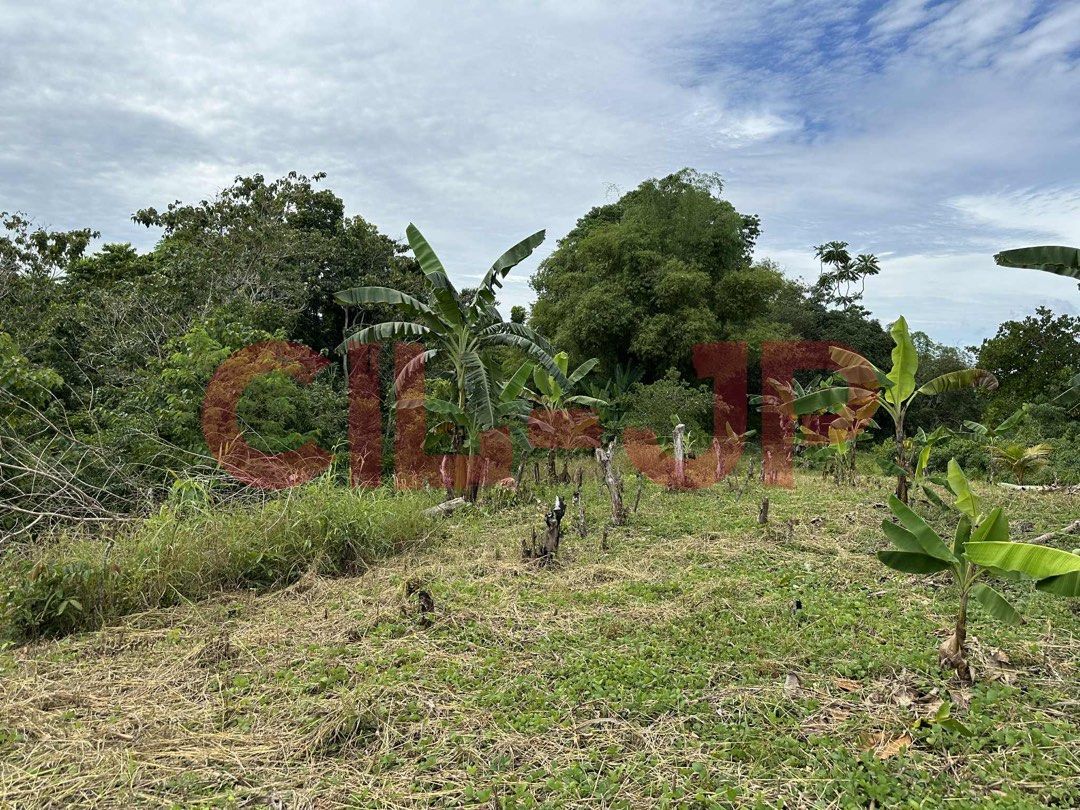 7 HECTARES FOR SALE IN CDO (Category: Lot) located in Makati City. Submitted by skyflakes123 (Listing ID 1397895413, Image 1). Description: 🌿 7-Hectare Land for Sale – Sitio Upper Kiam-is, Lumbia, Cagayan de Oro City 📍 Property Overview A peaceful 7-hectare property located in Sitio Upper Kiam-is, Lumbia, Cagayan de Oro City, accessible via the main road — about 10 minutes’ walk from the main road access point. Ideal for farming, eco-living, hi