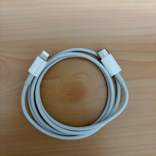 Apple Lightning to USB-C Cable