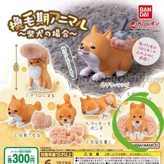 （分類：）位於 。 由 chohenry 提交（商品編號 1397840034，圖片 1）。簡介： 。