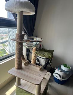 (Category: ) located in . Submitted by dyslecsic (Listing ID 1397820231, Image 1). Description: .